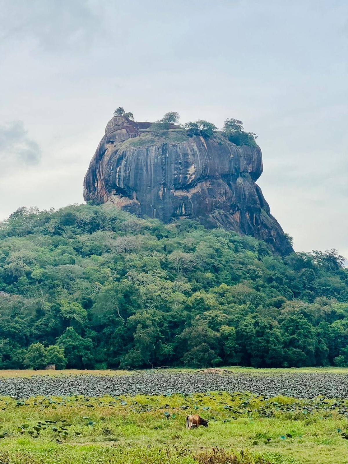 Aroma Villa Polonnaruwa Esterno foto